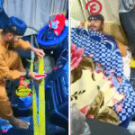 روش عجیب یک راننده پاکستانی برای جلوگیری از سرقت کامیون در زمان استراحتش + ویدیو روش عجیب یک راننده پاکستانی برای جلوگیری از سرقت کامیون در زمان استراحتش + ویدیو