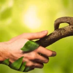 مردم کدام کشورها بیشترین میزان ارتباط با طبیعت را دارند؟ ایران رتبه دوم جهان!‍