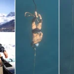 رکوردشکنی شگفت‌انگیز حبس نفس توسط غواص سوئیسی در عمق ۵۶ متری زیر یخ + ویدیو