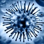 ثبت نخستین مرگ ناشی از آنفلوانزای H3N2 در هرمزگان