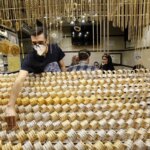 قیمت طلا، سکه، دلار و یورو امروز یکشنبه 16 آذر 1404 قیمت طلا، سکه، دلار و یورو امروز یکشنبه 16 آذر 1404