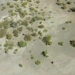 رصد پهپادی اتباع غیرمجاز درحال ورود به کرمان رصد پهپادی اتباع غیرمجاز درحال ورود به کرمان