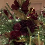 کاخ سفید آماده استقبال از کریسمس