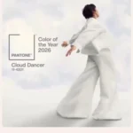 رنگ سال ۲۰۲۶ اعلام شد؛ چرا هیچ رنگی ندارد؟