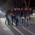 پلیس آمریکا برای مهار تمساح ۴ متری وارد عمل شد