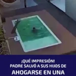 ببینید؛ نجات نفسگیر دو برادر پس از افتادن در استخر ببینید؛ نجات نفسگیر دو برادر پس از افتادن در استخر