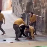 حمله وحشتناک خرس به نگهبان پس از اجرای نمایشی در چین حمله وحشتناک خرس به نگهبان پس از اجرای نمایشی در چین