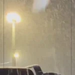 هماکنون: بارش سنگین برف شبانه در جاده چالوس هماکنون: بارش سنگین برف شبانه در جاده چالوس