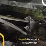 کشف صدها بسته سیگار جاسازیشده در سپر خودرو کشف صدها بسته سیگار جاسازیشده در سپر خودرو