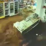 لحظه ورود سیل ویرانگر به یک فروشگاه در چمچال
