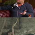 رامبد جوان: علاقه ای به ساخت زودپز نداشتم! رامبد جوان: علاقه ای به ساخت زودپز نداشتم!