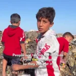 کودکان غزه در جستجوی مرغهای فاسد میان زبالهها کودکان غزه در جستجوی مرغهای فاسد میان زبالهها