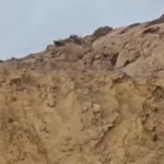 «هیوا»، یوزپلنگ آسیایی در پارک ملی توران دیده شد «هیوا»، یوزپلنگ آسیایی در پارک ملی توران دیده شد