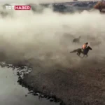 تصاویری جالب از کابوی‌های ایغدیر و هزاران رأس گاو