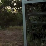 ببینید؛ تلاش ناامیدانه یک گوزن مادر برای نجات بچهاش از چنگ سیاهگوش ببینید؛ تلاش ناامیدانه یک گوزن مادر برای نجات بچهاش از چنگ سیاهگوش