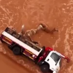 واژگونی کامیون حامل شتر در سیل