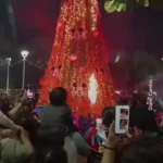 آتشسوزی ناگهانی درخت کریسمس در مکزیک آتشسوزی ناگهانی درخت کریسمس در مکزیک