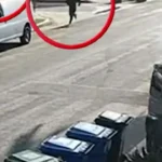 واکنش سریع زنی با مرسدس شاسی‌بلند نقشه سرقت از خانه را بر هم زد