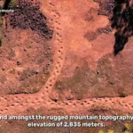 کشف سریع‌ترین دایناسور تاریخ