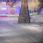 راننده‌ای با خودرو به درخت کریسمس کوبید