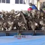 پشت پرده بوی نامطبوع جنوب تهران چیست؟