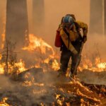 محیط‌زیست درباره جنگل‌های الیت: هنوز درگیر آتش هستیم