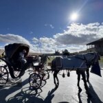 تصاویر؛ نگاهی به روز‌های آبی نصف جهان