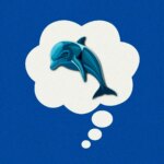 قانون «دلفین آبی» کلید کنترل افکار منفی است