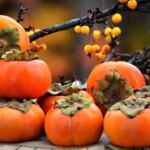 آیا خرمالو واقعا باعث انسداد روده میشود؟/ خرمالو را چطور بخوریم؟ آیا خرمالو واقعا باعث انسداد روده میشود؟/ خرمالو را چطور بخوریم؟