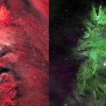 درخشش درخت کریسمس در دل فضا