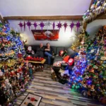 تصاویر؛ رکوردشکنی خانهای با ۶۲۱ درخت کریسمس تزئینشده تصاویر؛ رکوردشکنی خانهای با ۶۲۱ درخت کریسمس تزئینشده