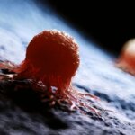 محققان علت اصلی مقاومت سلولهای سرطانی به شیمیدرمانی را کشف کردند محققان علت اصلی مقاومت سلولهای سرطانی به شیمیدرمانی را کشف کردند