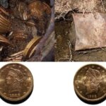 زوج خوش‌شانس اتفاقی ۱۴۰۰ سکه طلا پیدا کردند