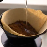 چطور با فیلتر قهوه سلامت ریشه گیاهان خود را تضمین کنید؟