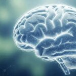 کشف غیرمنتظره ارتباط میان جذابیت بصری و سوخت مغزی کشف غیرمنتظره ارتباط میان جذابیت بصری و سوخت مغزی