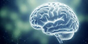 کشف غیرمنتظره ارتباط میان جذابیت بصری و سوخت مغزی کشف غیرمنتظره ارتباط میان جذابیت بصری و سوخت مغزی