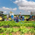 ادعای جروزالم‌پست: ایران برای فلج کردن کشاورزی اسرائیل به تایلند پیشنهادی مخفیانه داده بود