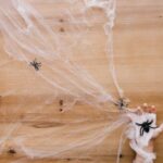 چگونه تار عنکبوت را از بین ببریم؟ چگونه تار عنکبوت را از بین ببریم؟