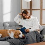 نقش تهویه و پاکسازی هوا در کاهش علائم آلرژی به حیوانات خانگی نقش تهویه و پاکسازی هوا در کاهش علائم آلرژی به حیوانات خانگی