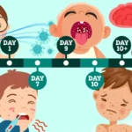 روند زمانی علائم مُسریترین بیماری جهان؛ کودکان زیر ۵ سال در خطر ابتلا به سرخک روند زمانی علائم مُسریترین بیماری جهان؛ کودکان زیر ۵ سال در خطر ابتلا به سرخک