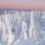 راز سفیدی برف چیست؟ بررسی علمی یک پدیده طبیعی راز سفیدی برف چیست؟ بررسی علمی یک پدیده طبیعی