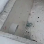 تلاش یکی از روستاییان میاب مرند برای نجات روباه و سوسار گرفتار در استخر