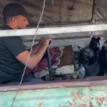 استفاده از تلمبه به جای کپسول اکسیژن در غزه