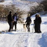 تصاویر؛ جست‌و‌جو برای یافتن نوجوان مفقود شده اهری