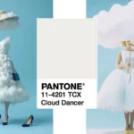 رنگ سال ۲۰۲۶ چیه؟ سال ۱۴۰۵ چه رنگی مده؟ رنگ سال ۲۰۲۶ چیه؟ سال ۱۴۰۵ چه رنگی مده؟