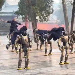 تمرین رزمی ربات‌های انسان‌نما در معبد شائولین