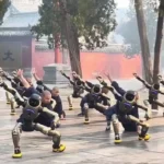 کنگ‌فو به سبک ربات‌ها/ تمرین رزمی ربات‌های انسان‌نما در معبد شائولین