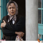 شریفینیا: باید به جای جشنواره از یادواره استفاده میکردید شریفینیا: باید به جای جشنواره از یادواره استفاده میکردید