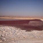 چاه‌های کشاورزی نفس تالاب مهارلو را بریدند/ هشدار درباره تبدیل شدن به کانون گردوغبار