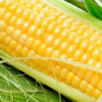 کدام مواد غذایی حاوی بیشترین مقدار قند و نشاسته هستند؟